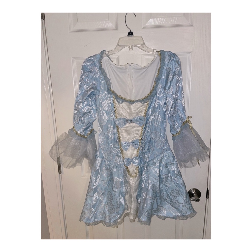 Marie Antoinette Costume